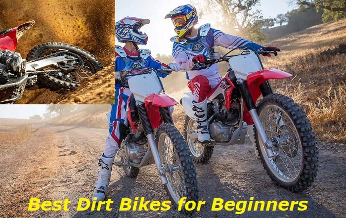 Best Dirt Bike for Beginners Adults – Our Choice