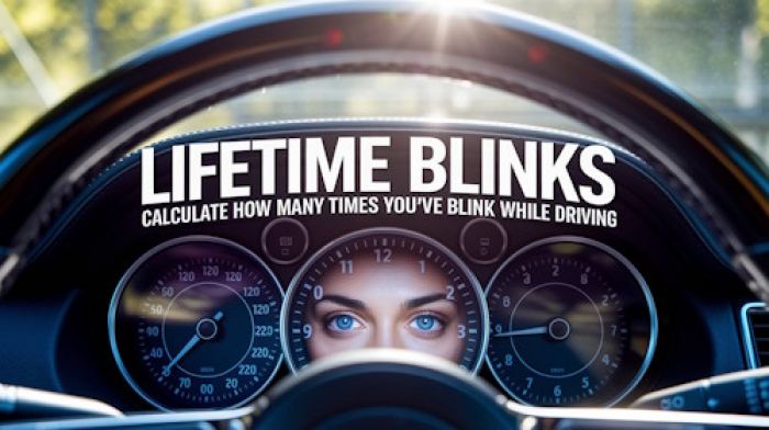 Lifetime Blinks - Calculate How Many Times You've Blink While Driving