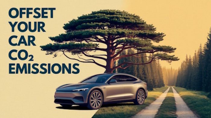 Tree Debt Calculator - Offset Your Car CO₂ Emissions