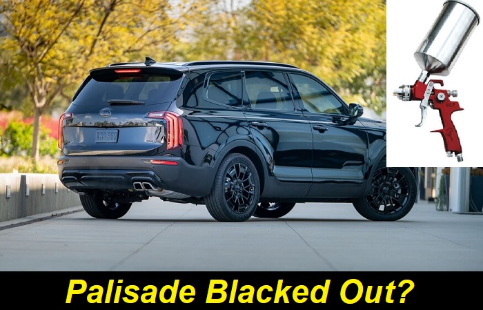 Palisade-blacked-out