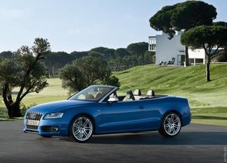 2010 S5 Cabriolet 8T